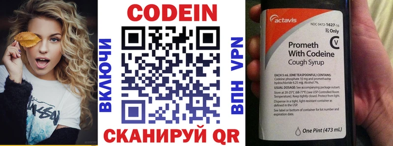продажа наркотиков  Суздаль  Кодеиновый сироп Lean напиток Lean (лин) 