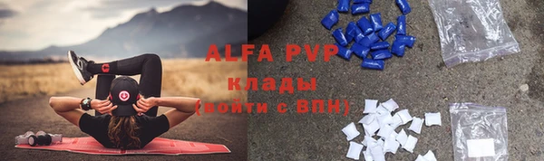 apvp Аркадак