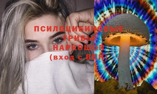 бошки Бородино