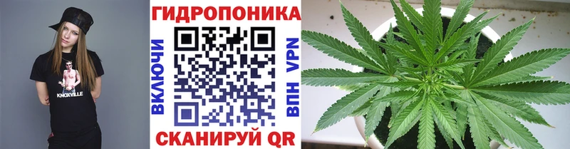 ОМГ ОМГ сайт  Суздаль  Бошки марихуана Amnesia 